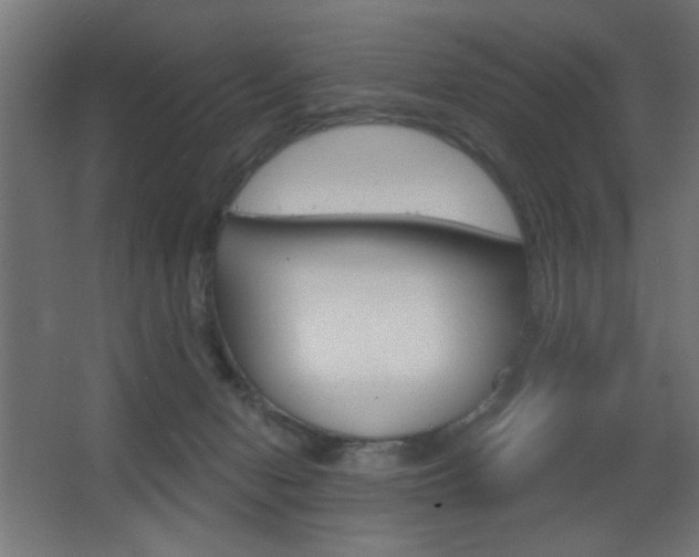 X0000068300078200604211021