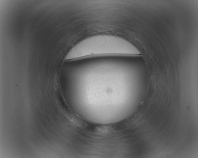 X0000068300079200604211022