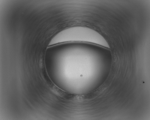X0000068300080200604211022
