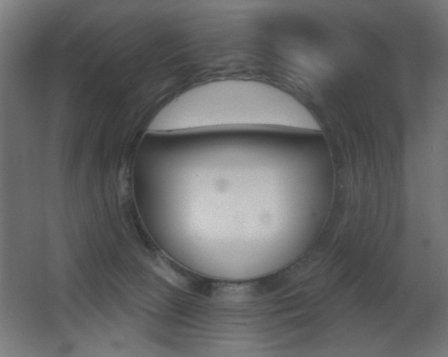 X0000068300081200604211022