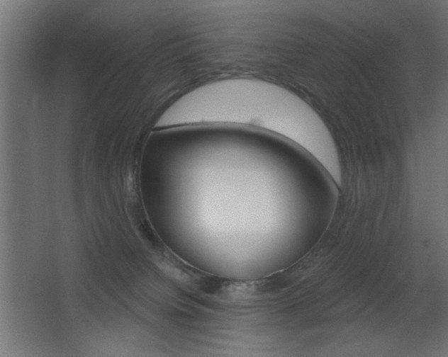 X0000068300084200604211022