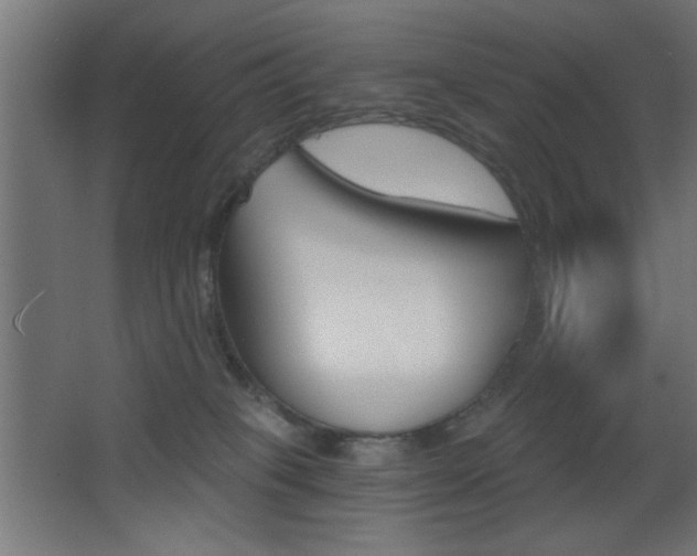 X0000068300085200604211022