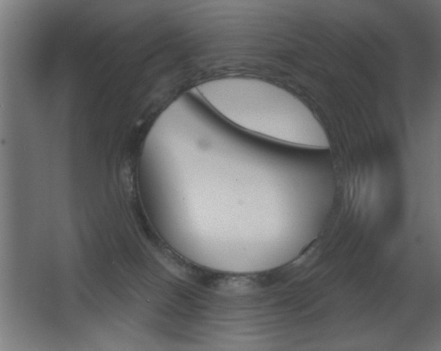 X0000068300086200604211022