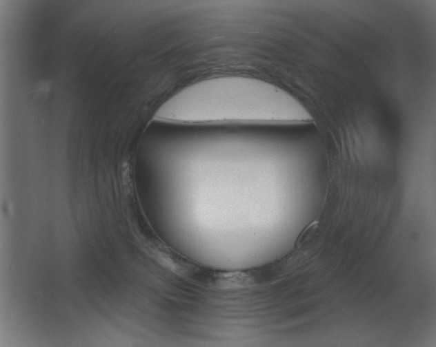 X0000068300087200604211022