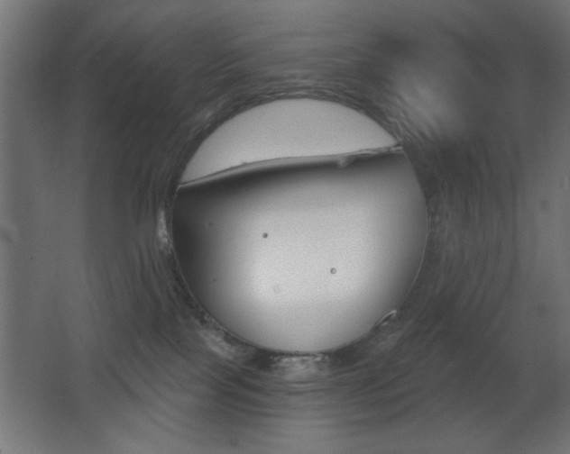 X0000068300089200604211022