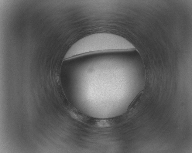 X0000068300091200604211022