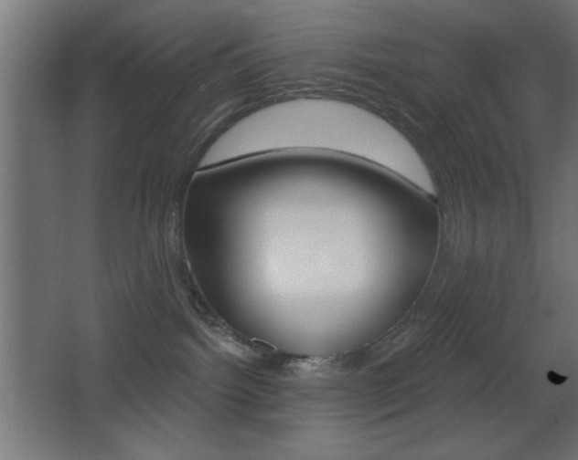 X0000068300092200604211022