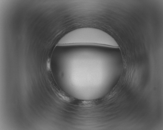 X0000068300095200604211022