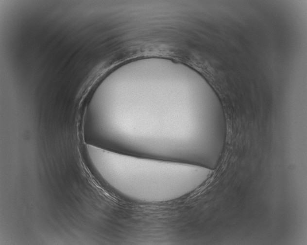 X0000068300098200604211021
