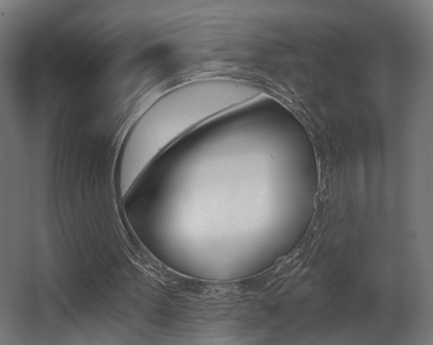 X0000068300099200604211021