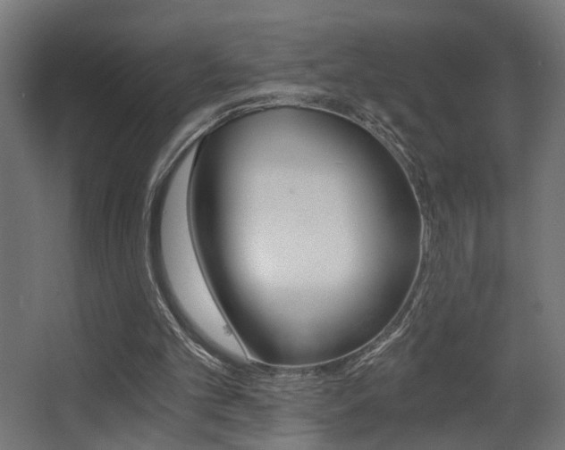 X0000068300101200604211021