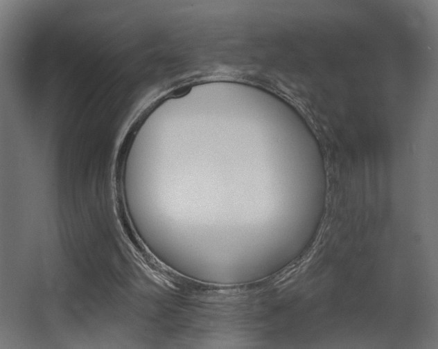 X0000068300102200604211021