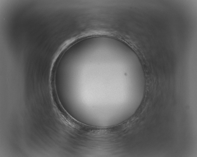 X0000068300104200604211021
