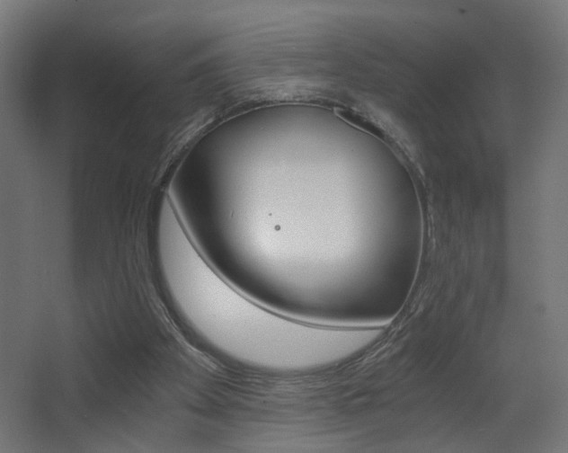 X0000068300105200604211021