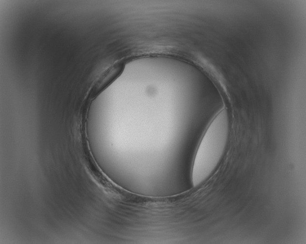 X0000068300107200604211021