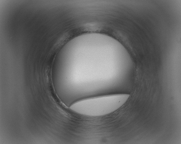 X0000068300114200604211021