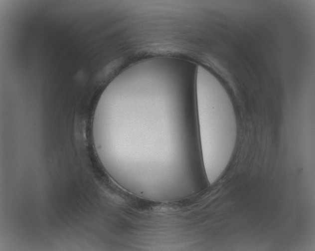 X0000068300115200604211021