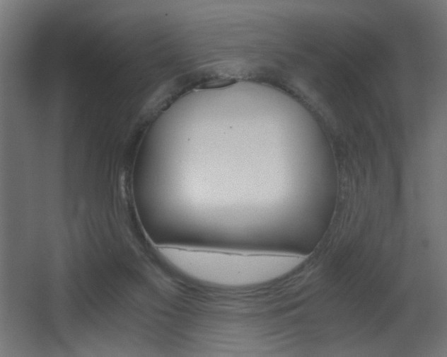 X0000068300117200604211021