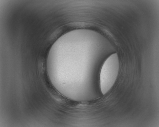 X0000068300119200604211021