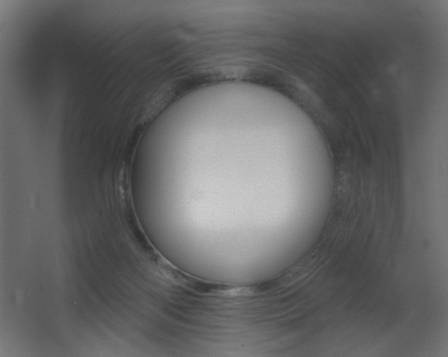 X0000068300122200604211021