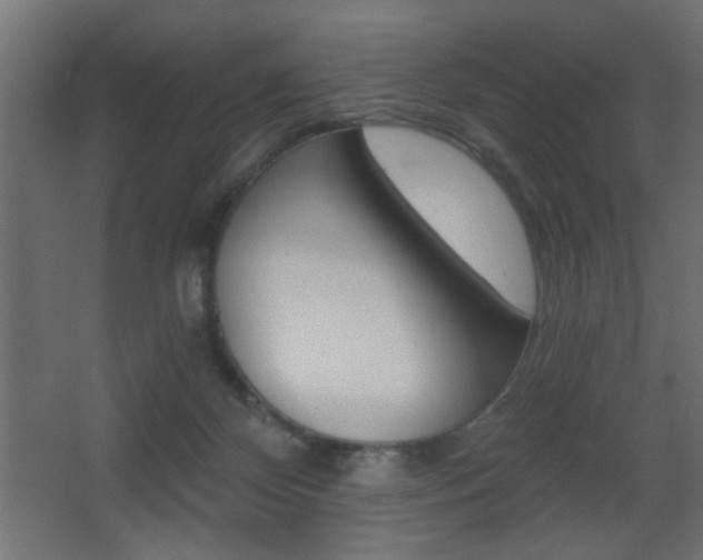X0000068300124200604211021