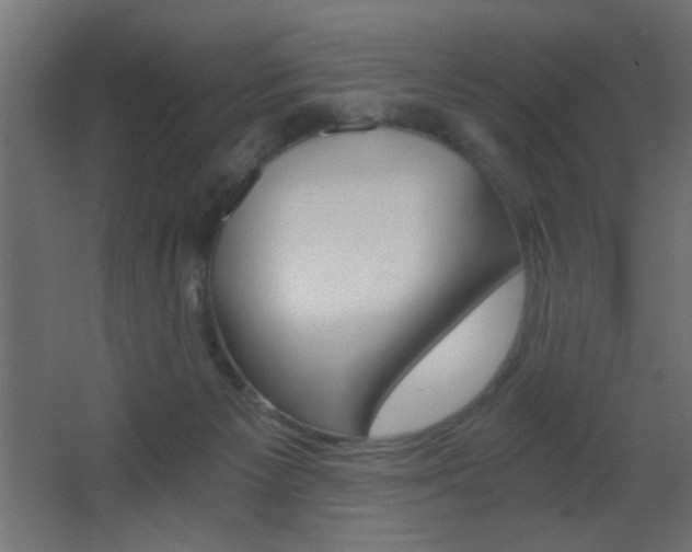 X0000068300125200604211021