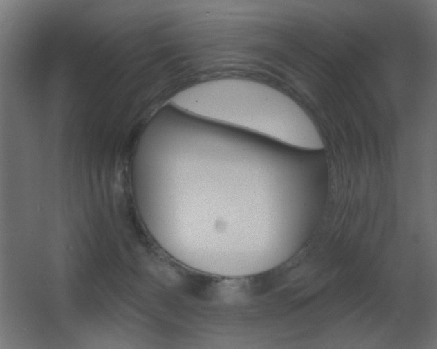 X0000068300126200604211021