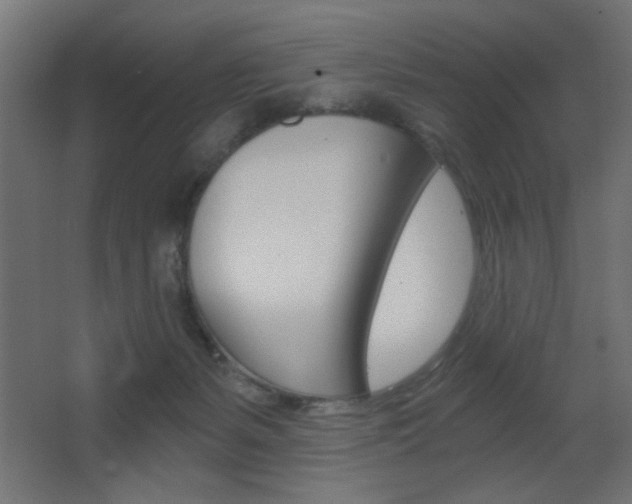 X0000068300127200604211020