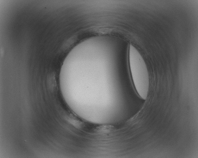 X0000068300128200604211020