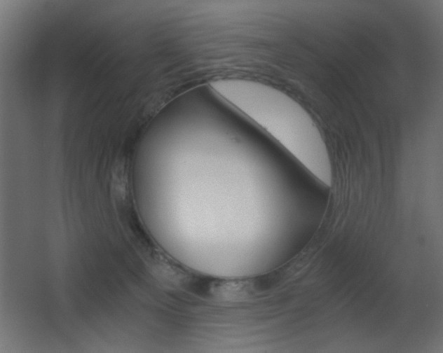 X0000068300129200604211020