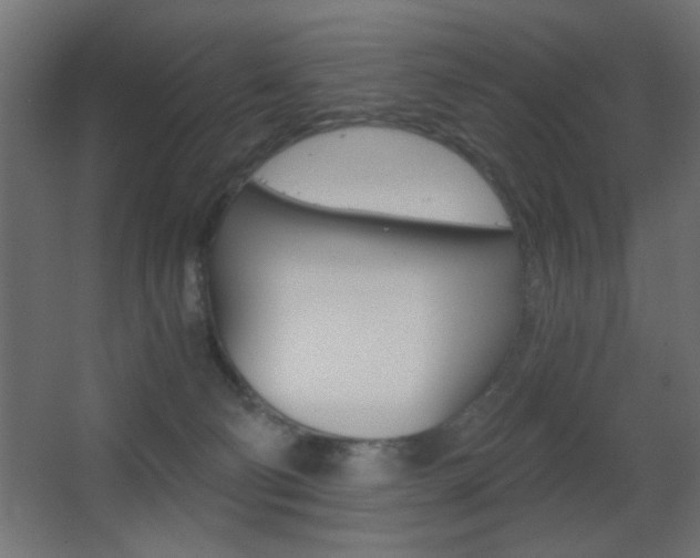 X0000068300130200604211020