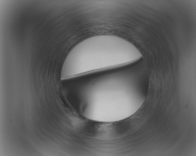 X0000068300132200604211020