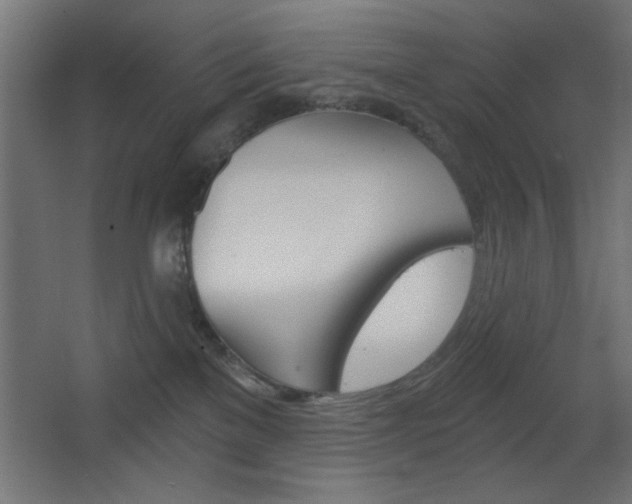 X0000068300137200604211020