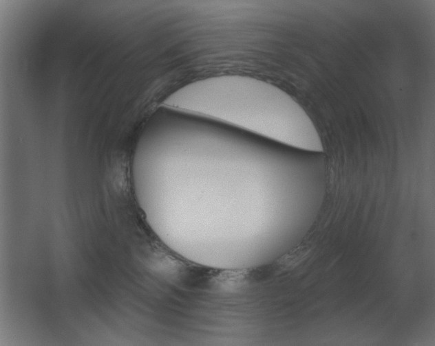X0000068300138200604211020