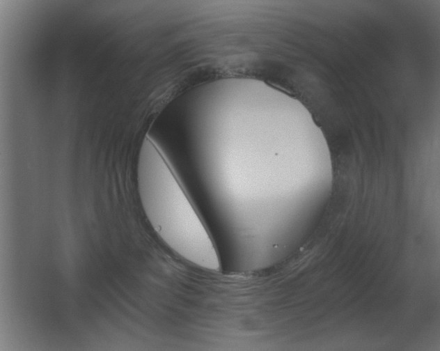 X0000068300139200604211020