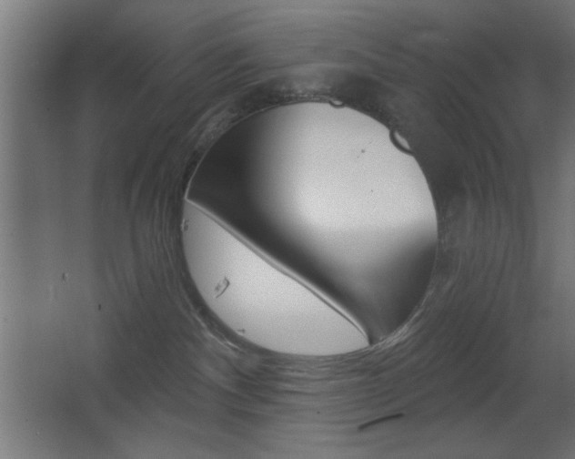 X0000068300140200604211020