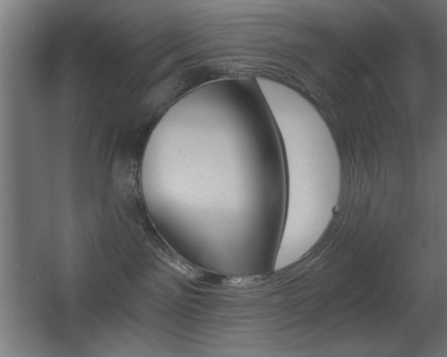 X0000068300141200604211020