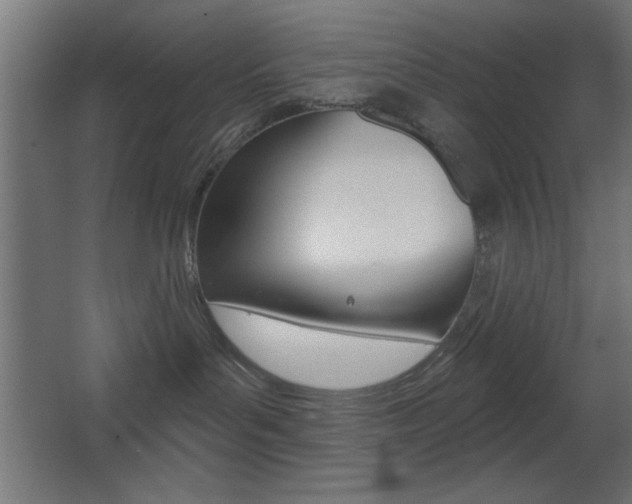 X0000068300143200604211020