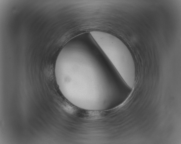 X0000068300144200604211020