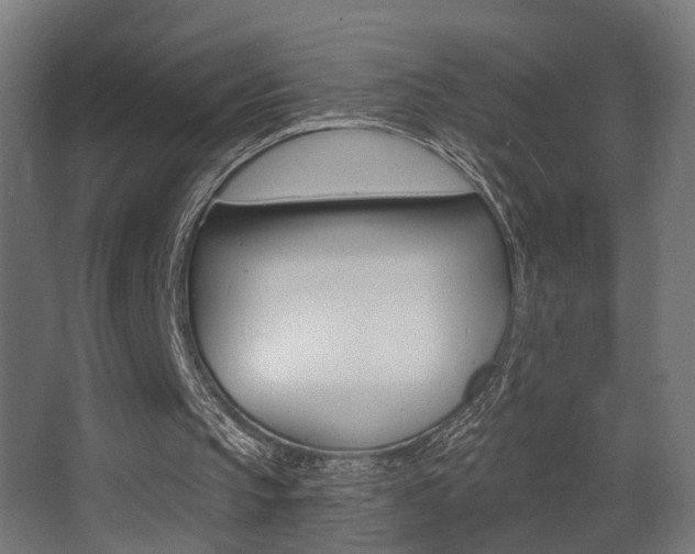 X0000068300145200604211019