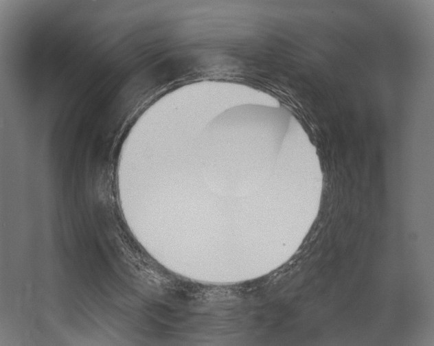 X0000068300146200604211019