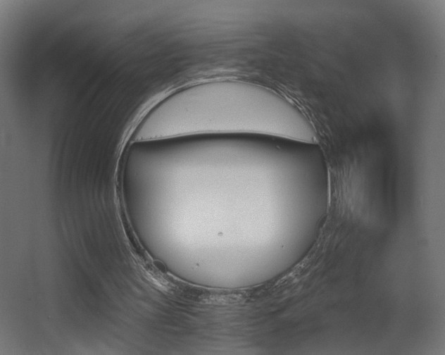 X0000068300147200604211019