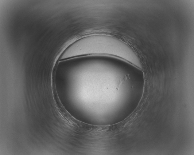 X0000068300148200604211019