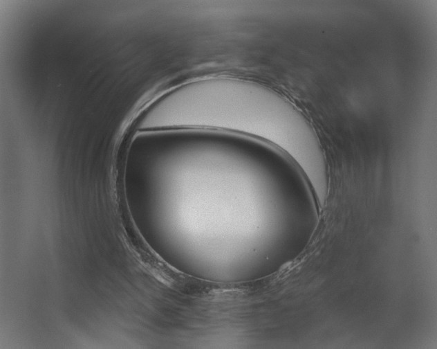 X0000068300150200604211019