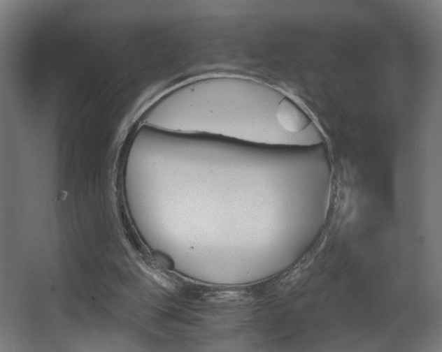 X0000068300151200604211019