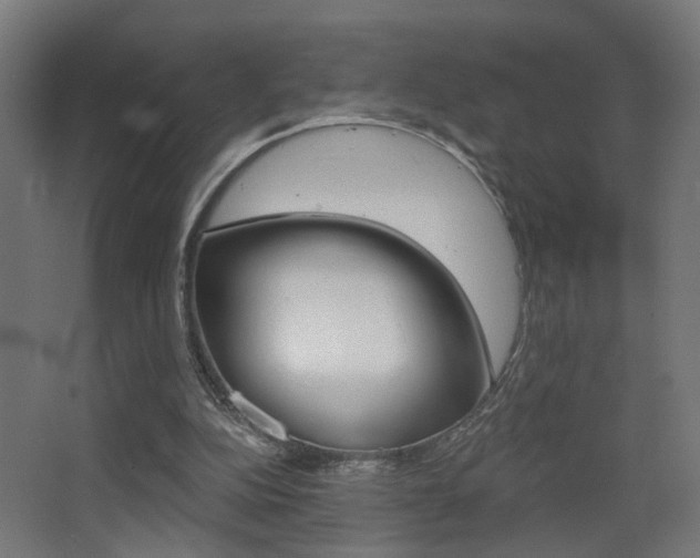 X0000068300152200604211020