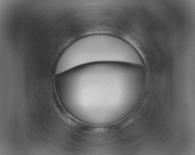 X0000068300153200604211020