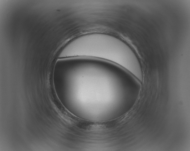 X0000068300154200604211020