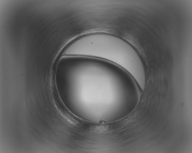 X0000068300156200604211020