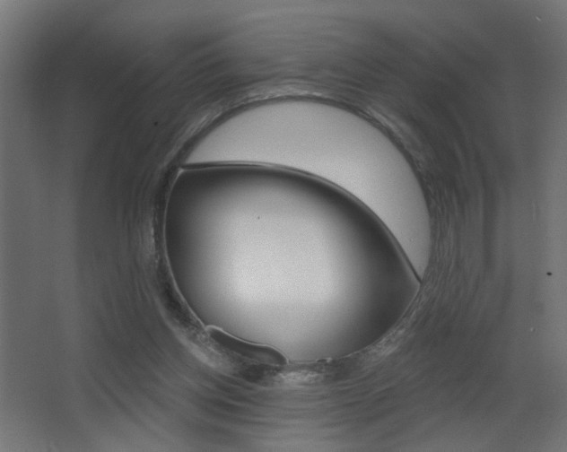 X0000068300158200604211020